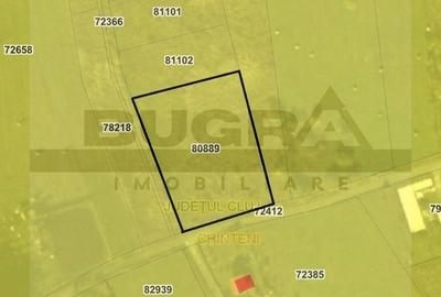 Teren agricol intravilan de 3800 mp, în Pădureni (Chinteni) - 2