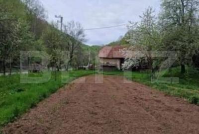 Casa cu 3 camere, ideala pentru locuit sau casa de vacanta – Almasu Mare - 2