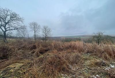 Casa Demolabila | Rediu | Teren 3278 mp | Posibiliate parcelare - 5