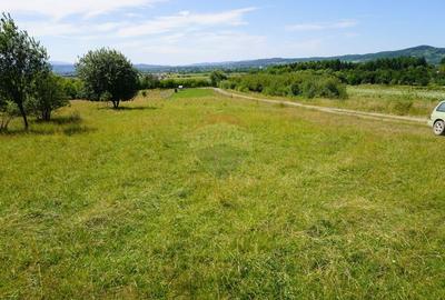 Teren Construcții intravilan de 1343 mp, în Est - 4