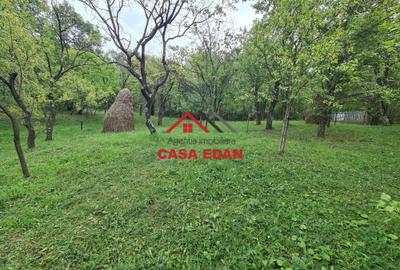 Teren intravilan in Sotrile--5991mp--10e Teren intravilan in Sotrile--5991mp--10e - 9