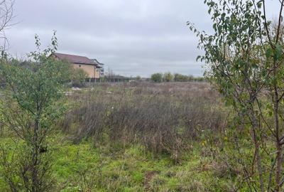 TEREN DE VANZARE PROGRESULUI-GiURGIULUI 5600 MP - 4