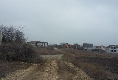 Teren de vanzare in Lazu, Exterior Sud - 5000 mp - 1