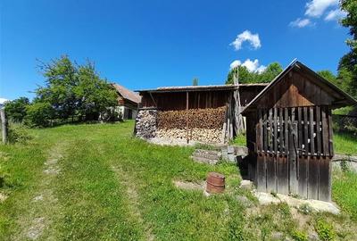 Vanzare casa cu anexe si 5500 mp teren, Valea Ariesului, Salciua - 8