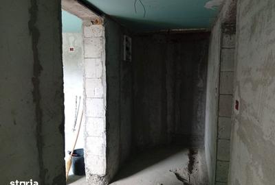 Casă cu 1 camere cu Teren 1500 Mp în Bârsa - 7