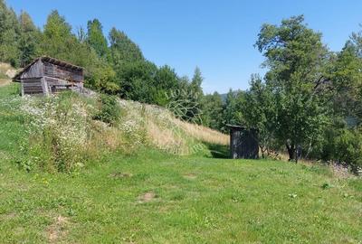 Teren intravilan zona montana investiție Rachitele Cluj 4.330 mp - 4