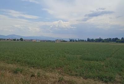 De vanzare terenuri extravilane in Sfantu Gheorghe De vanzare terenuri extravilane in Sfantu Gheorghe - 5