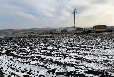 Teren de 991 mp, în Burdujeni - 10