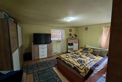 Casă individuală cu 4 camere cu Teren 12000 Mp în Rapoltu Mare - 5