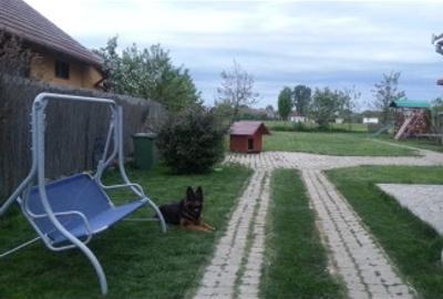 Casa de vanzare 5 camere P+M, Salard - 3