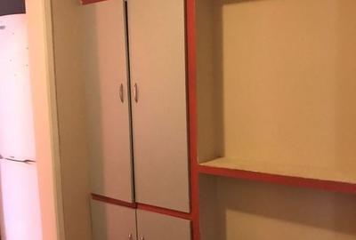 APARTAMENT 2 CAMERE LIPOVEI - 10