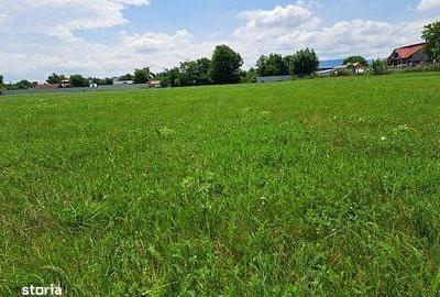 Teren de 17500 mp, în Central - 14