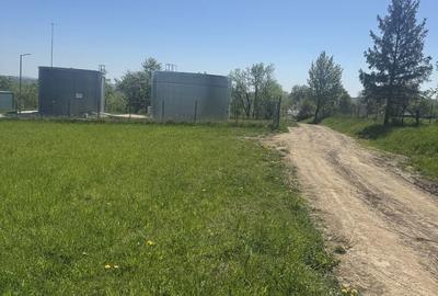 Spațiu comercial, în Cacica - 4