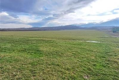 Teren de vanzare la iesire din Racovita - 5