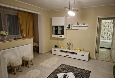 Apartament cu 2 camere semidecomandat, mobilat în Craiovei - 12