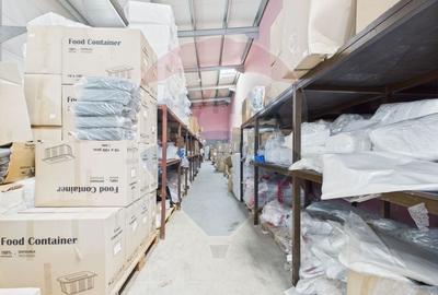 Spațiu industrial, de 472.66000366211 mp, în Theodor Pallady - 13