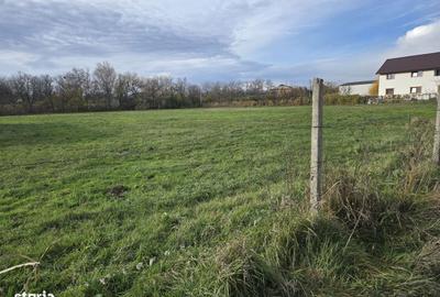 Spațiu comercial, în Sud - 7