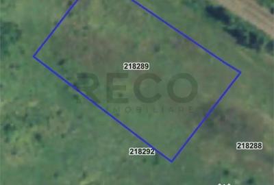 Teren de 3210 mp, în Centura - 1