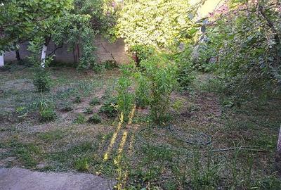 Casă cu 4 camere cu Teren 2741 Mp în Jebel - 3
