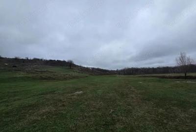 Teren 100.000 mp, Recea-Albota - 3