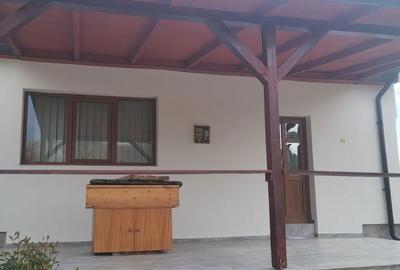Casă cu 2 camere cu Teren 1100 Mp în Oituz - 9