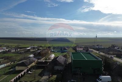 Hala industriala de vanzare in Poiana-Ovidiu - 3