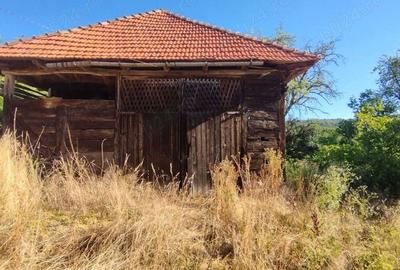 Casă în Târnăvița - 5