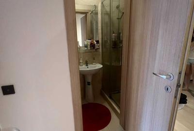 Apartament cu 3 camere decomandat în Alexandriei - 3