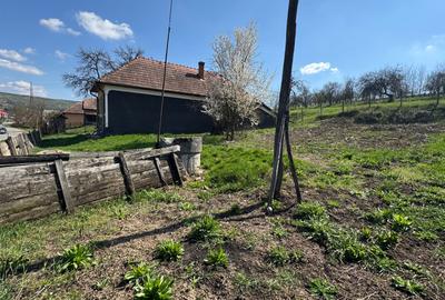 Casă cu 3 camere în Mădăraș - 5