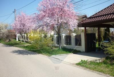 Casă cu 5 camere cu Teren 1922 Mp în Ciofliceni - 8