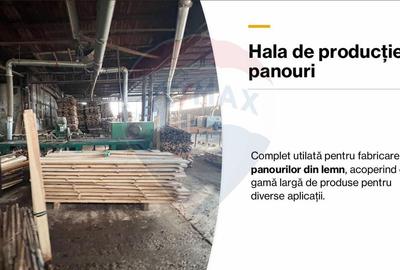 Spațiu industrial, de 7,756 mp, în Cerăt - 35