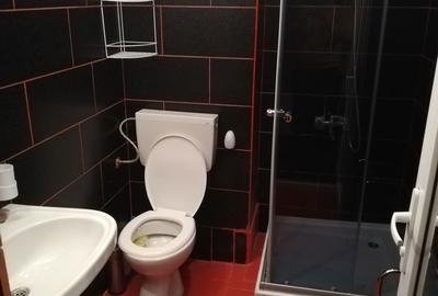 Casă cu 7 camere decomandat cu Canalizare în Faleza Nord - 19