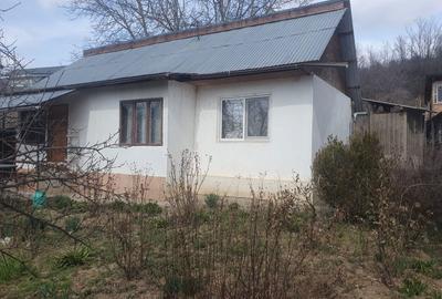 Casă cu 3 camere în Nișcov - 3