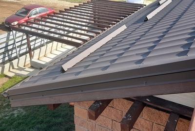 Duplex cu 3 camere cu Teren 250 Mp în Olteni - 3