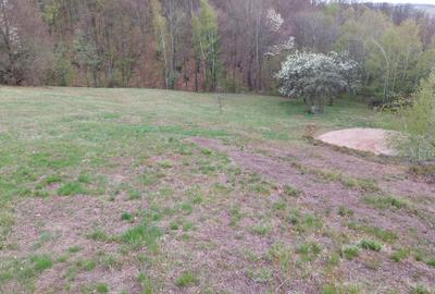 Spațiu comercial, în Damiș - 5