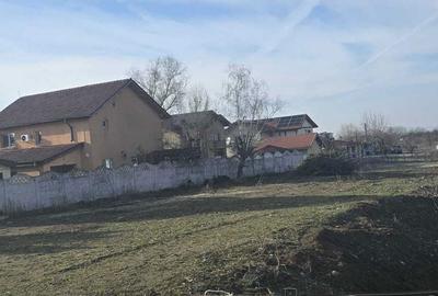 Spațiu comercial, în Cornetu - 3
