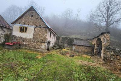 Casa de vanzare in Garli?te - 10