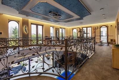 Vila unica | Piscina interioara | Sauna | Fitness | Dotari High Tech - 19