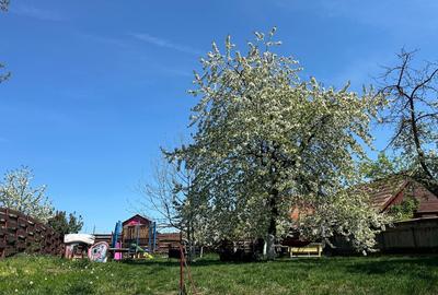 De vânzare casă unifamilială Dâmbul Rotund - 2