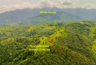 Teren extravilan, 25066 mp, Moieciu - 1