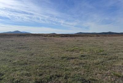 Teren de vanzare in Harman 4,4 Hectare - 7