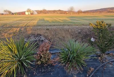 Teren de 7300 mp, în Central - 4