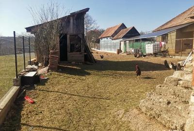 Casă în Finișel - 2