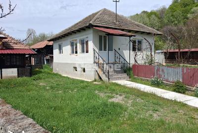 Casă cu 3 camere cu Teren 3000 Mp în Frâncești - 7