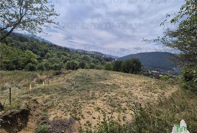 Teren intravilan pentru investitie turistica, 4000 mp, langa Club Vila Bran cu p