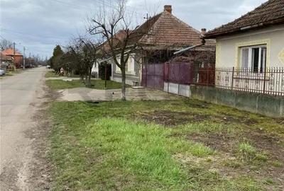 Casă cu 3 camere cu Teren 1439 Mp în Săcueni - 13