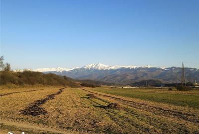 Teren de 2262 mp, în Central - 5