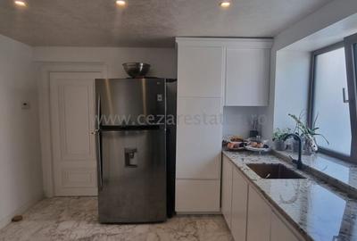 PIPERA IANCU NICOLAE VILA LUX RENOVATA COMPLET 2022 - 20