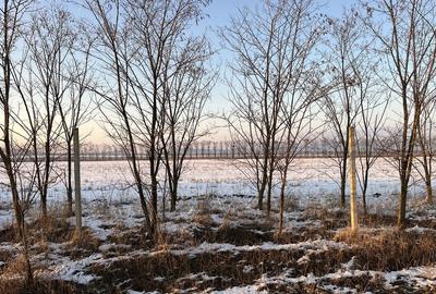Spațiu comercial, în Hărman - 8