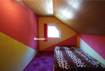 LOCUINTA TA DE VIS IN PADUREA NEAGRA - 1